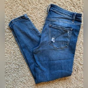 Flying Monkey Distressed Skinny Jeans